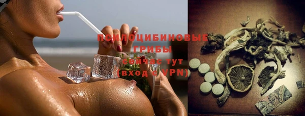 ешки Верхний Тагил